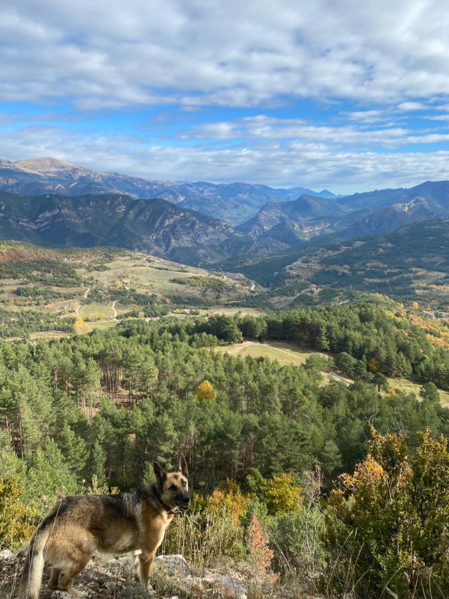 Cal Carol Apartman Vallcebre Kültér fotó
