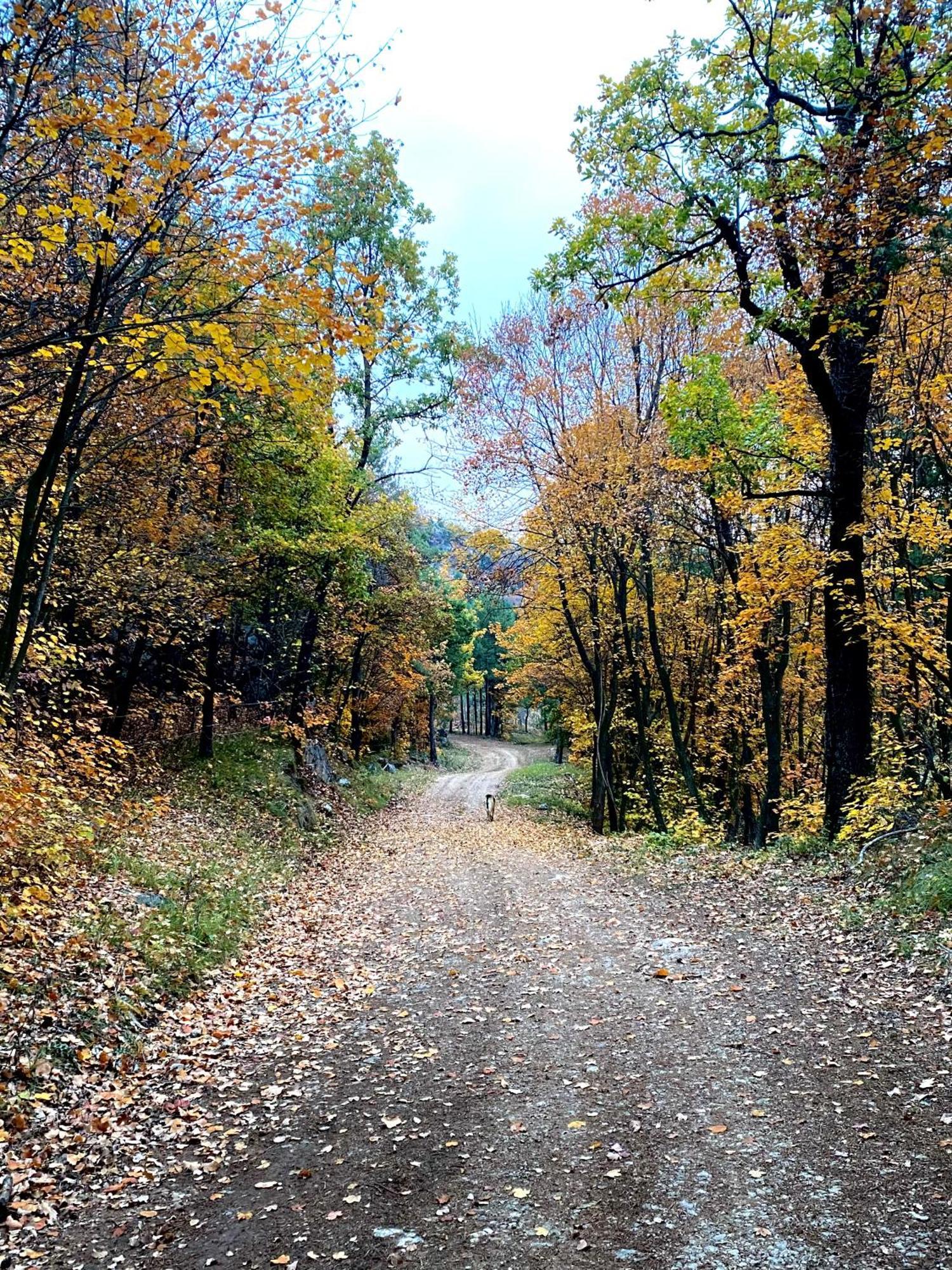 Cal Carol Apartman Vallcebre Kültér fotó